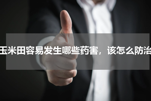 玉米田容易发生哪些药害，该怎么防治