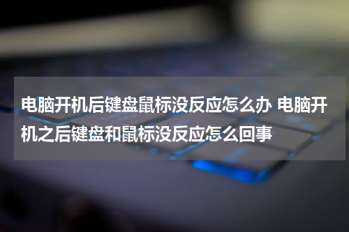 电脑开机后键盘鼠标没反应怎么办 电脑开机之后键盘和鼠标没反应怎么回事