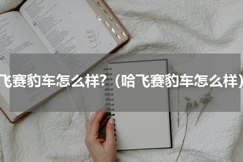 哈飞赛豹车怎么样?（哈飞赛豹车怎么样）