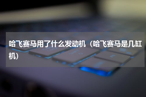 哈飞赛马用了什么发动机（哈飞赛马是几缸机）