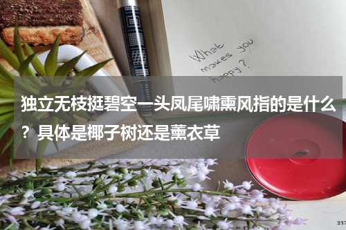独立无枝挺碧空一头凤尾啸熏风指的是什么？具体是椰子树还是薰衣草