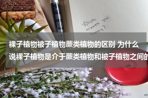 裸子植物被子植物蕨类植物的区别 为什么说裸子植物是介于蕨类植物和被子植物之间的