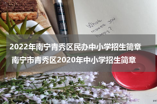 2022年南宁青秀区民办中小学招生简章 南宁市青秀区2020年中小学招生简章
