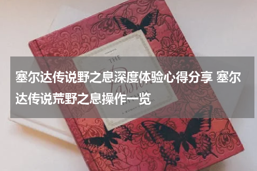 塞尔达传说野之息深度体验心得分享 塞尔达传说荒野之息操作一览