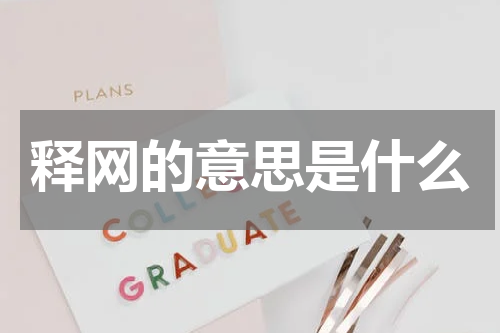 释网的意思是什么