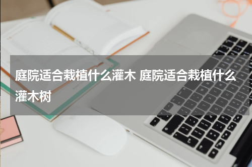 庭院适合栽植什么灌木 庭院适合栽植什么灌木树