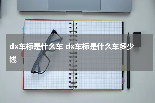 dx车标是什么车 dx车标是什么车多少钱