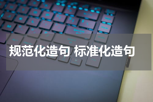 规范化造句 标准化造句