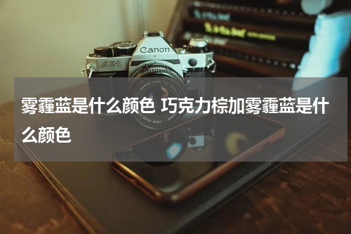雾霾蓝是什么颜色 巧克力棕加雾霾蓝是什么颜色