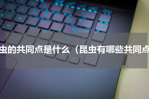 昆虫的共同点是什么（昆虫有哪些共同点）