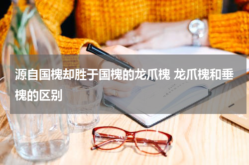 源自国槐却胜于国槐的龙爪槐 龙爪槐和垂槐的区别