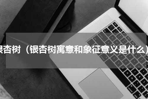 银杏树（银杏树寓意和象征意义是什么）