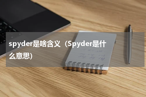 spyder是啥含义（Spyder是什么意思）
