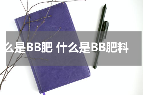 什么是BB肥 什么是BB肥料