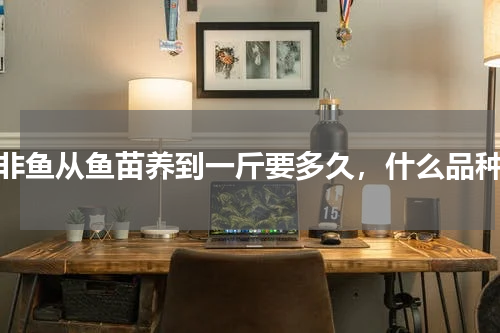 罗非鱼从鱼苗养到一斤要多久，什么品种好