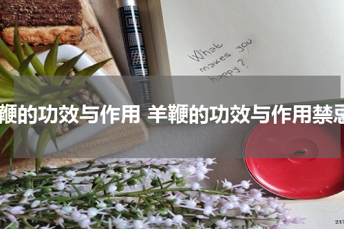 羊鞭的功效与作用 羊鞭的功效与作用禁忌