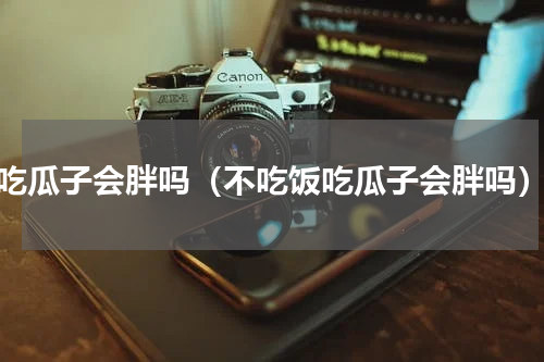 吃瓜子会胖吗（不吃饭吃瓜子会胖吗）