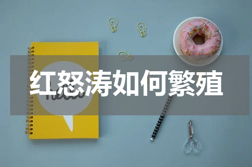红怒涛如何繁殖