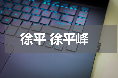 徐平 徐平峰