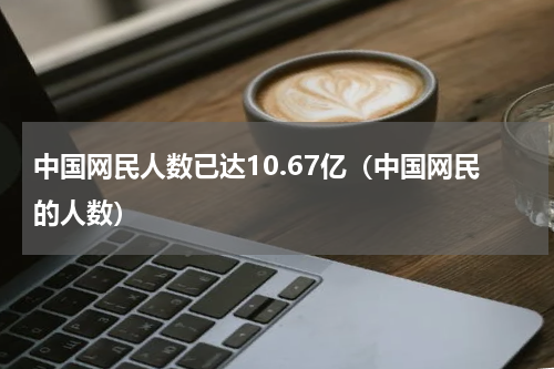 中国网民人数已达10.67亿（中国网民的人数）