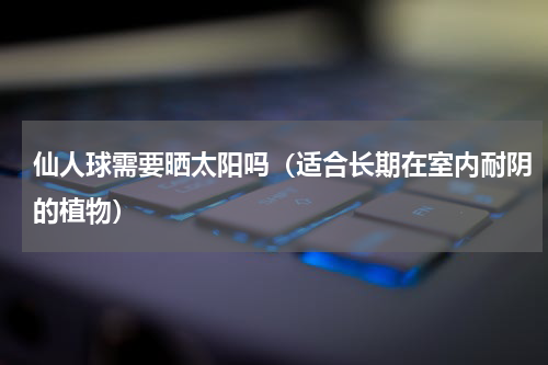 仙人球需要晒太阳吗（适合长期在室内耐阴的植物）