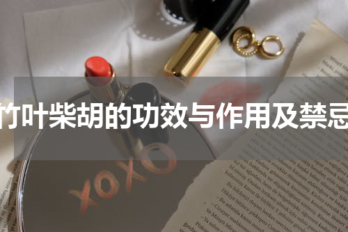 竹叶柴胡的功效与作用及禁忌