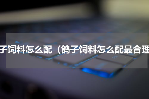 鸽子饲料怎么配（鸽子饲料怎么配最合理）