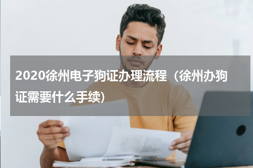 2020徐州电子狗证办理流程（徐州办狗证需要什么手续）