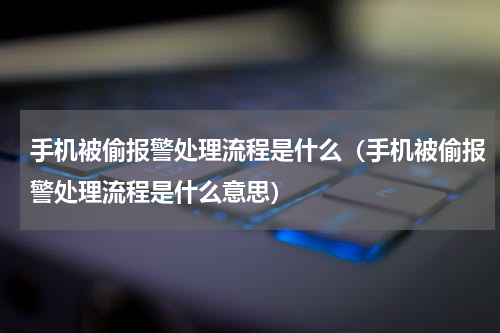 手机被偷报警处理流程是什么（手机被偷报警处理流程是什么意思）