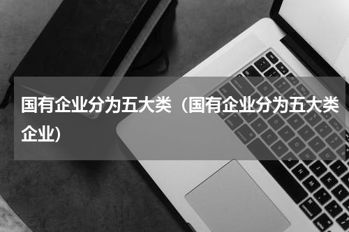 国有企业分为五大类（国有企业分为五大类企业）