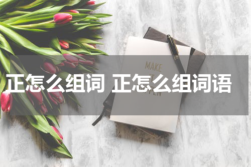 正怎么组词 正怎么组词语