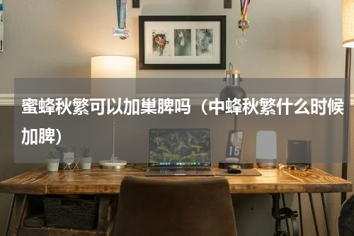 蜜蜂秋繁可以加巢脾吗（中蜂秋繁什么时候加脾）