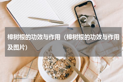 樟树根的功效与作用（樟树根的功效与作用及图片）