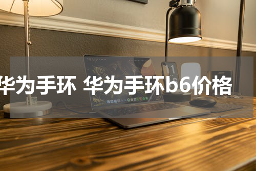 华为手环 华为手环b6价格