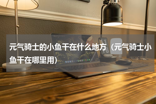 元气骑士的小鱼干在什么地方（元气骑士小鱼干在哪里用）