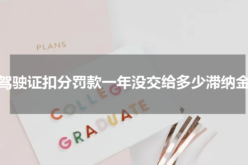 驾驶证扣分罚款一年没交给多少滞纳金