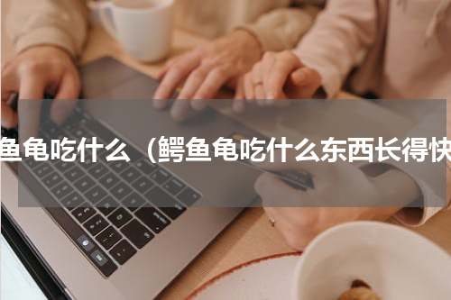鳄鱼龟吃什么（鳄鱼龟吃什么东西长得快）