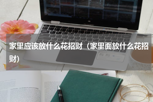 家里应该放什么花招财（家里面放什么花招财）
