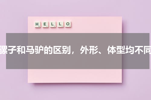 骡子和马驴的区别，外形、体型均不同