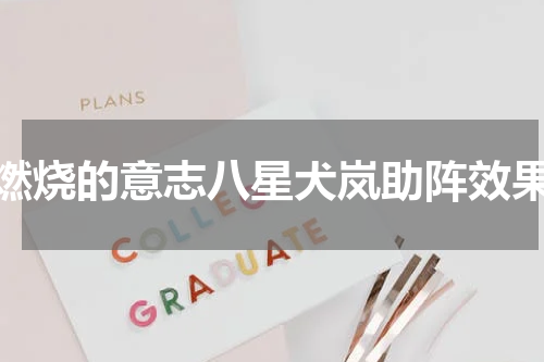 燃烧的意志八星犬岚助阵效果