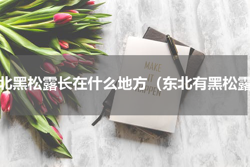 东北黑松露长在什么地方（东北有黑松露）