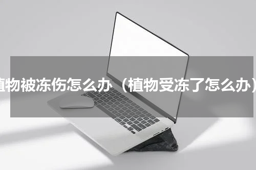 植物被冻伤怎么办（植物受冻了怎么办）