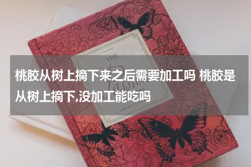 桃胶从树上摘下来之后需要加工吗 桃胶是从树上摘下,没加工能吃吗