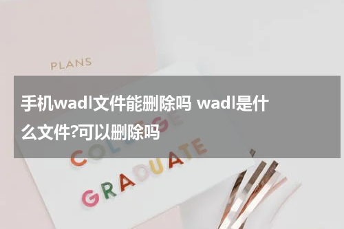 手机wadl文件能删除吗 wadl是什么文件?可以删除吗