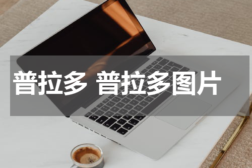 普拉多 普拉多图片