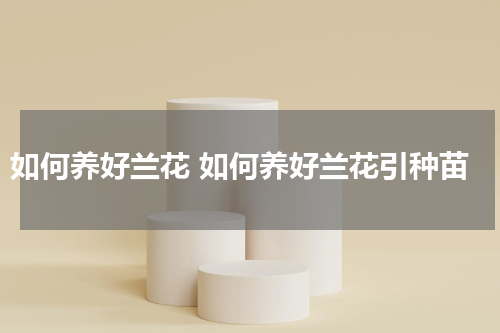 如何养好兰花 如何养好兰花引种苗