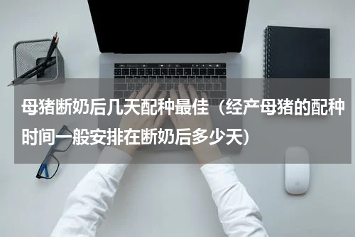 母猪断奶后几天配种最佳（经产母猪的配种时间一般安排在断奶后多少天）