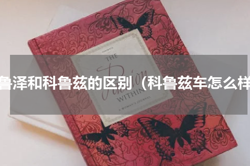 科鲁泽和科鲁兹的区别（科鲁兹车怎么样）
