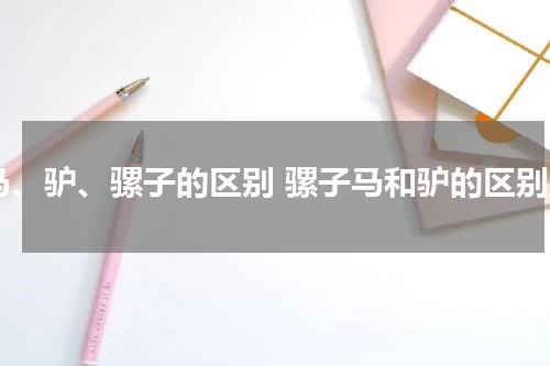 马、驴、骡子的区别 骡子马和驴的区别