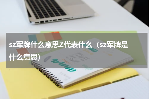 sz军牌什么意思Z代表什么（sz军牌是什么意思）
